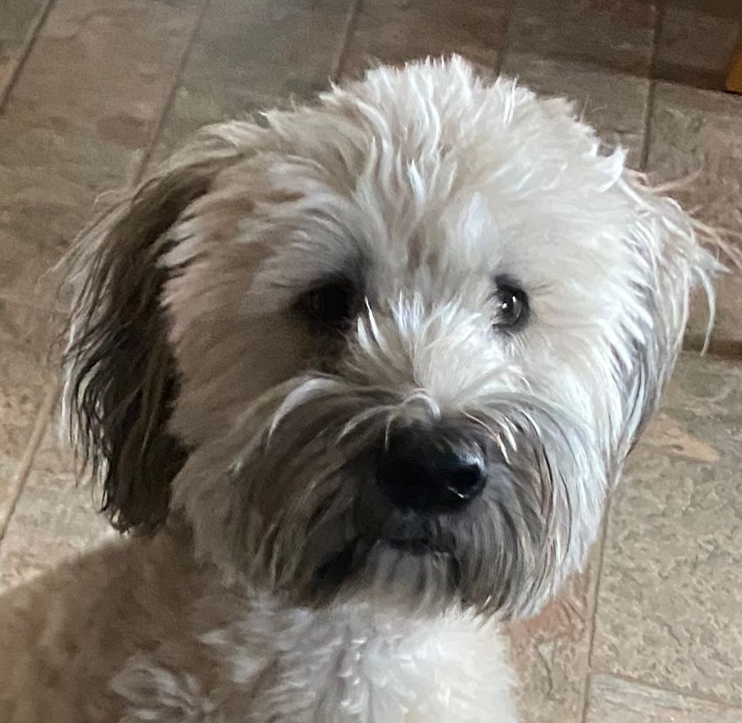 Cooper.